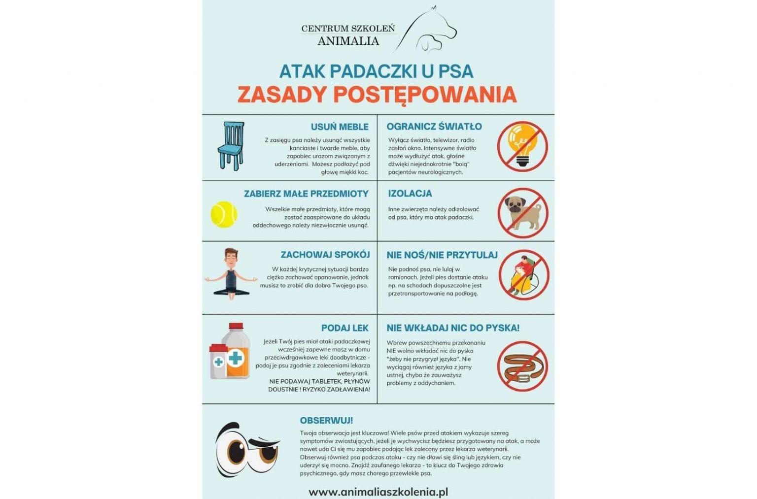 padaczka u psa