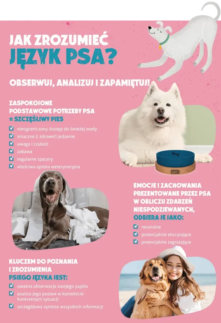 mowa ciała psa