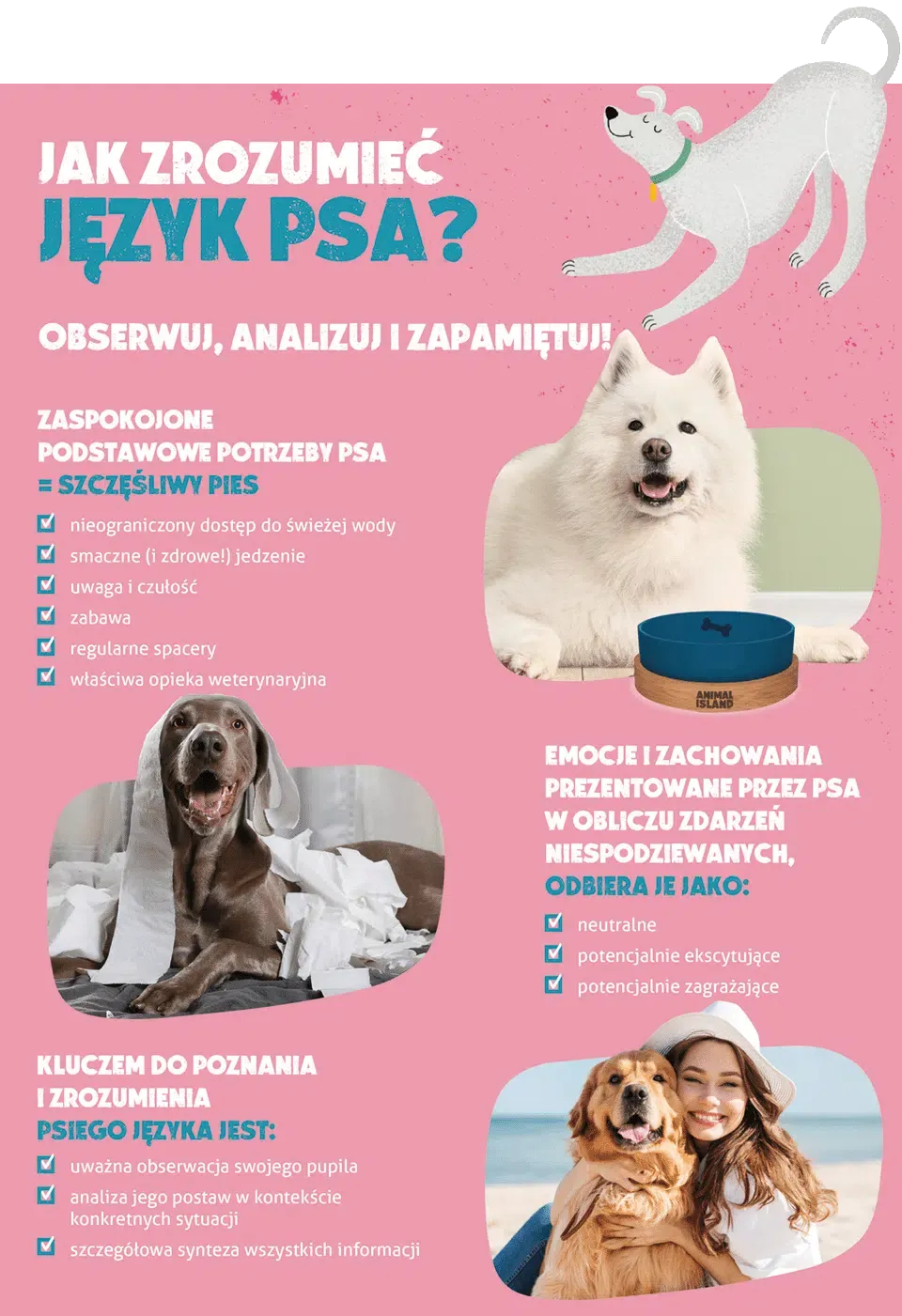 mowa ciała psa