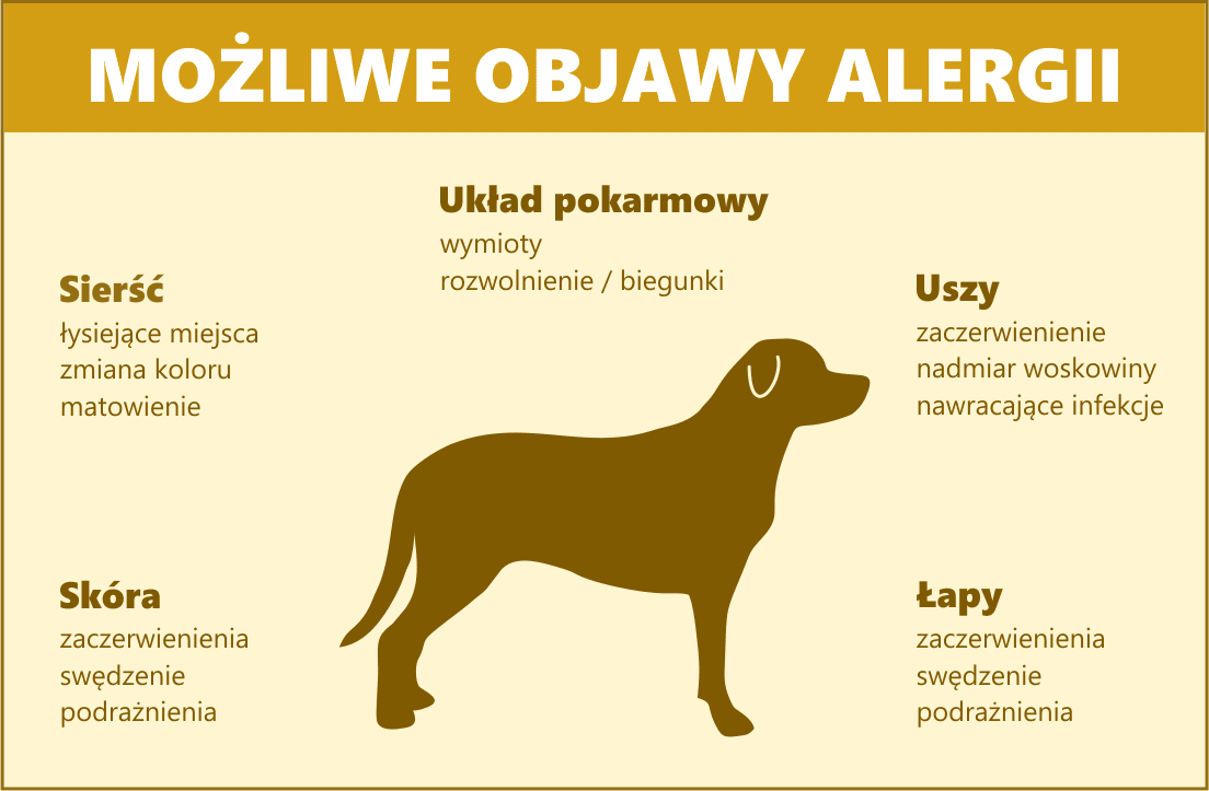 karma dla psa alergika