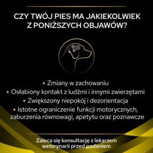 padaczka u psa
